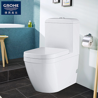 Унитаз напольный GROHE Euro Ceramic 39462000 безободковый с микролифтом