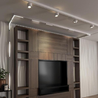 Трековый светильник Novotech SHINO 358605 24Вт LED белый для однофазного трека