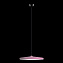 Светильник подвесной Loft It Plato 10119 Pink 24Вт LED
