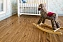Виниловый ламинат Alpine Floor Дуб Классический ЕСО 162-7 1220х183х4мм 43 класс 2,23кв.м