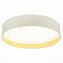 Торшер Evoluce BRESCIA SLE300552-01 50Вт LED