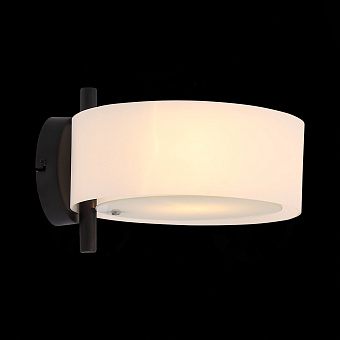Светильник настенный Evoluce FORESTA SL483.401.01 60Вт E27