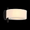 Светильник настенный Evoluce FORESTA SL483.401.01 60Вт E27