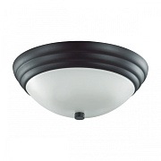 Светильник настенно-потолочный Lumion KAYLA 5263/2C 120Вт E27