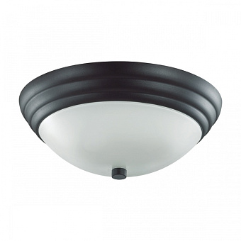 Светильник настенно-потолочный Lumion KAYLA 5263/2C 120Вт E27