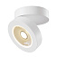 Светильник точечный накладной Maytoni Magic C022CL-L12W4K 12Вт LED