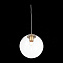 Светильник подвесной ST Luce LIORA SL1150.203.01 40Вт E27