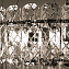 Люстра подвесная Arte Lamp NICOLETTA A1051SP-10CC 40Вт 10 лампочек E14