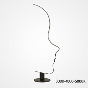 Торшер ImperiumLOFT Dafne 228284-23 45Вт LED