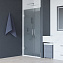 Душевая дверь RGW Hotel 350601212-31 HO-012 195х120см стекло тонированное