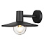 Светильник фасадный Odeon NATURE 4833/1W 40Вт IP44 E27 чёрный