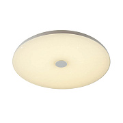 Светильник потолочный Sonex VASTA LED 4629/DL 48Вт LED
