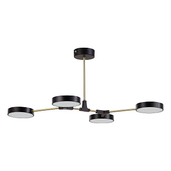 Светильник потолочный Evoluce MONTA SLE6004-402-04 40Вт LED