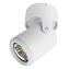Светильник потолочный Arte Lamp LIBRA A3316PL-1WH 50Вт GU10