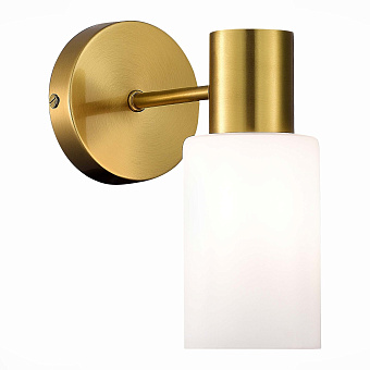 Светильник настенный Evoluce GESSI SLE1139-301-01 60Вт E14
