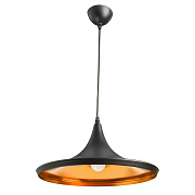 Светильник подвесной Arte Lamp CAPPELLO A3406SP-1BK 40Вт E27