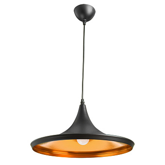 Светильник подвесной Arte Lamp CAPPELLO A3406SP-1BK 40Вт E27