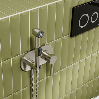 Гигиенический душ WASSERKRAFT Wern 4200 4238 никель