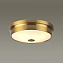 Светильник настенно-потолочный Odeon WALLI 4824/3C 120Вт E14