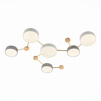 Светильник потолочный Evoluce DOSSENA SLE600102-06 90Вт LED