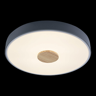 Светильник потолочный Loft It Axel 10003/24 Grey 24Вт LED