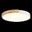 Светильник потолочный Evoluce DELIA SLE201352-01 40Вт LED