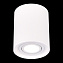 Светильник потолочный ST Luce Gipsum ST156.502.01 50Вт GU10