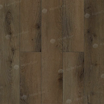 Виниловый ламинат Alpine Floor Дуб Марко ЕСО 7-32 1880х229х8мм 43 класс 2,47кв.м