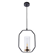Светильник подвесной Arte Lamp CELAENO A7004SP-1BK 60Вт E14