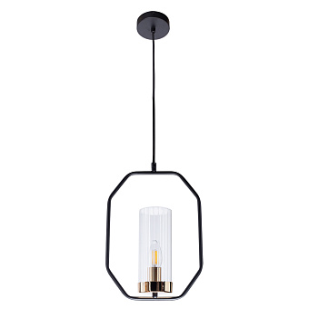 Светильник подвесной Arte Lamp CELAENO A7004SP-1BK 60Вт E14