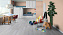 Ламинат Tarkett Woodstock Family Дуб Снежный Люкс 504044108 1292х194х8мм 33 класс 2,005кв.м