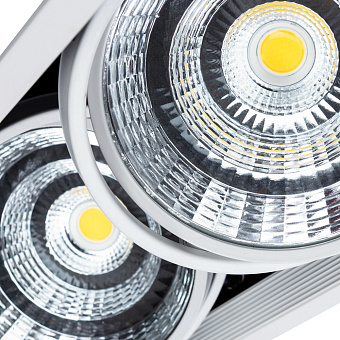 Светильник потолочный Arte Lamp MERGA A8450PL-2WH 50Вт LED