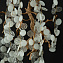 Бра Loft It Fairytree 10066W GB 15Вт G9