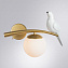 Светильник настенный Arte Lamp ELTANIN A3422AP-1GO 60Вт E14