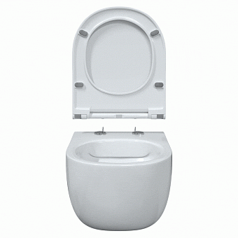 Унитаз подвесной BERGES EGO RR 082111RR безободковый с микролифтом