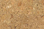 Настенная пробка CORKSTYLE WALL DESIGN Vico Nat VICO NAT 600х300х3мм 1,98кв.м