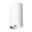 Светильник потолочный Arte Lamp UNIX A1516PL-1WH 35Вт GU10