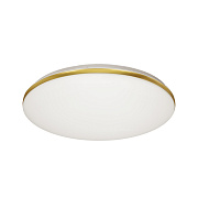 Светильник настенно-потолочный Sonex Lassa 3043/DL 48Вт LED
