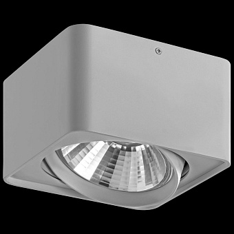 Светильник точечный накладной Lightstar Monocco 212619 50Вт GU10/GU5.3