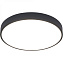 Светильник потолочный Arte Lamp ARENA A2661PL-1BK 60Вт LED