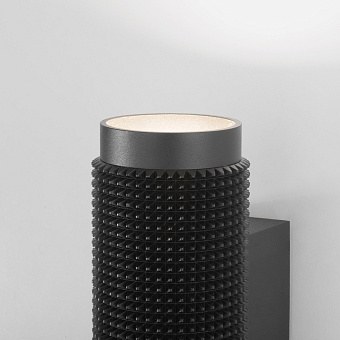 Светильник настенный Elektrostandard Spike MRL 1014 35Вт GU10