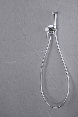 Гигиенический душ Abber Wasser Kreis AF8125 хром
