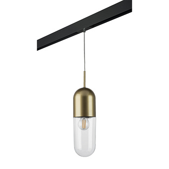 Трековый светильник Lightstar Ramo PRO690013 40Вт E27 прозрачный для однофазного трека