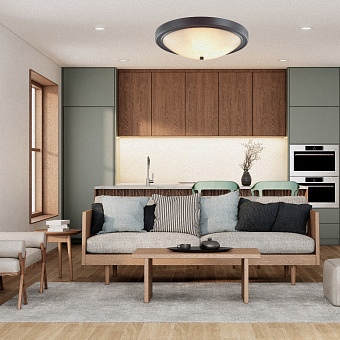 Светильник настенно-потолочный Lumion NINA 5260/4C 240Вт E27