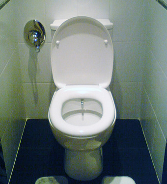 Унитаз с функцией биде IDEAL STANDARD OCEANE W903801 без микролифта