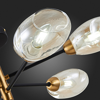 Люстра потолочная Evoluce GLOA SLE155502-06 40Вт 6 лампочек E14