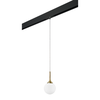 Трековый светильник Lightstar Globo PRO813012 40Вт E14 белый для однофазного трека