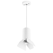 Светильник подвесной Lightstar RULLO RP436436 50Вт GU10