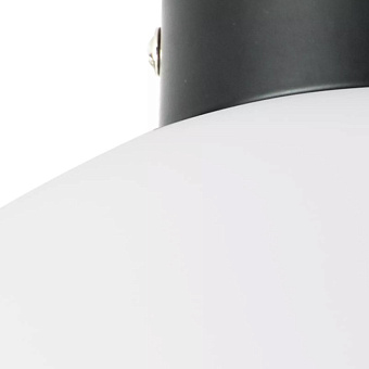 Светильник настенно-потолочный Lightstar Globo 812037 40Вт E14