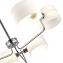 Светильник потолочный Evoluce AERIN SLE1121-102-06 240Вт E14